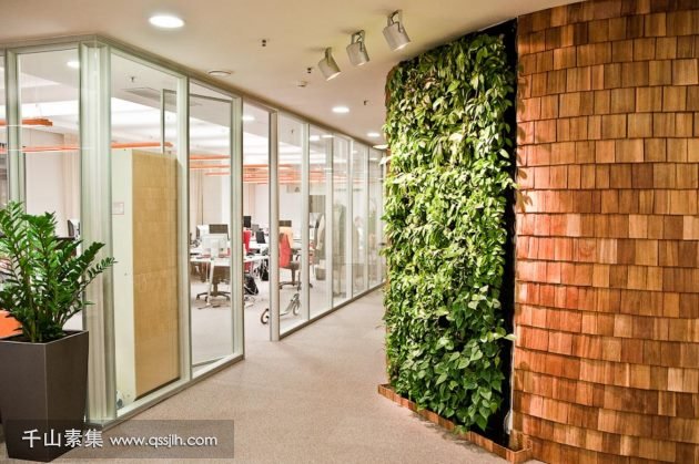 办公室植物墙要如何打造 做好这三点就足够