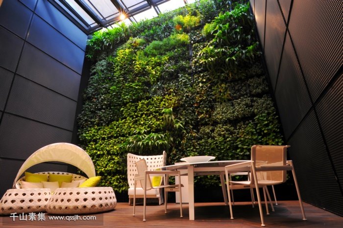 植物墙和垂直绿化