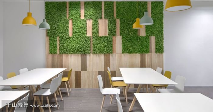 【杭州植物墙】公司植物墙 高逼格的生态名片