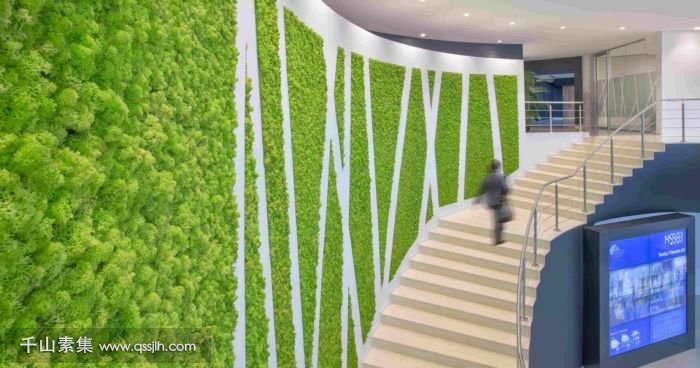 【泉州植物墙】MEI大厅苔藓植物墙 充满绿意的空间