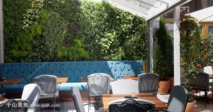 【海口植物墙】酒吧餐厅植物墙 垂直绿化和餐饮的完美融合