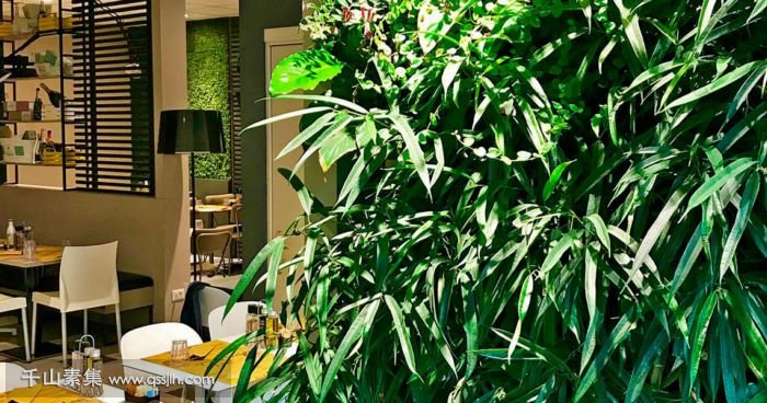 【南京植物墙】酒吧植物墙 自然元素改善用户体验