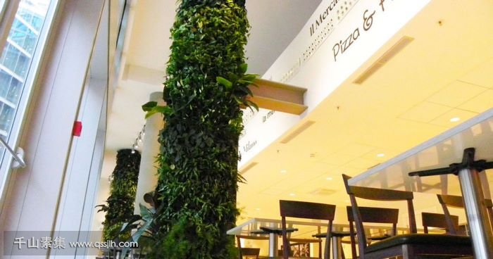 【石家庄植物墙】Pappa美食餐厅植物墙 柱形的垂直绿化设计