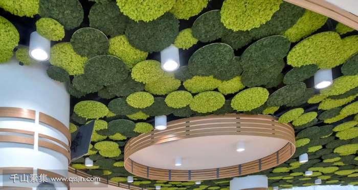 【无锡植物墙】欧尚购物中心植物墙 独特的吸音天花板