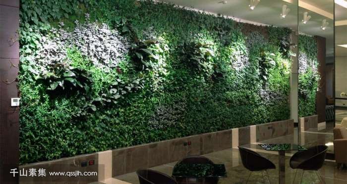 植物墙设计