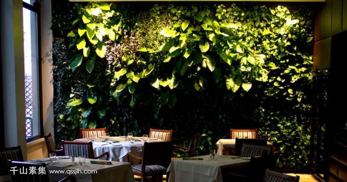 【大连植物墙】Manin垂直花园 论植物墙补光的重要性