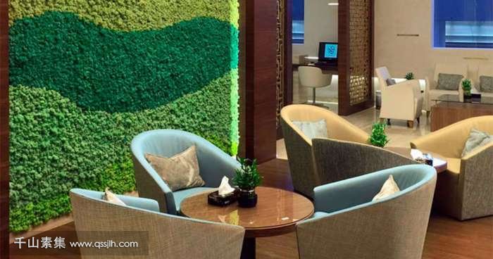 科威特国际机场植物墙 休闲区的生态画布