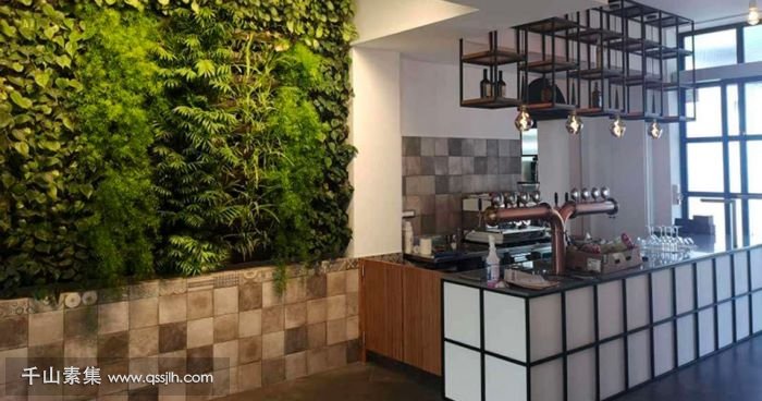 【宜昌植物墙】Cinisi餐厅植物墙 精心设计的几何布局