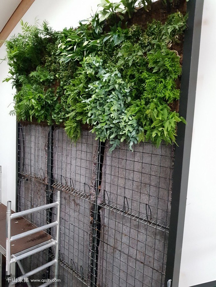 【荆州植物墙】别墅植物墙 垂直的生态绿地