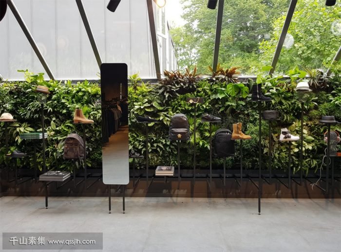 【孝感植物墙】运动装备商店植物墙 纯天然的展柜
