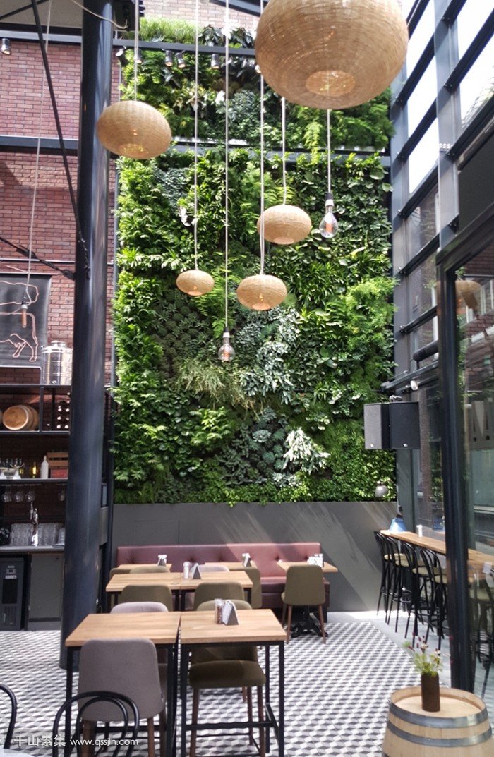 【武昌植物墙】优秀的室内植物墙案例-工厂餐厅垂直绿化