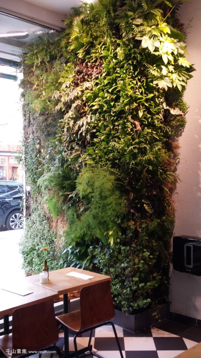 【汉口植物墙】Ballroom咖啡厅植物墙 让花园走向室内