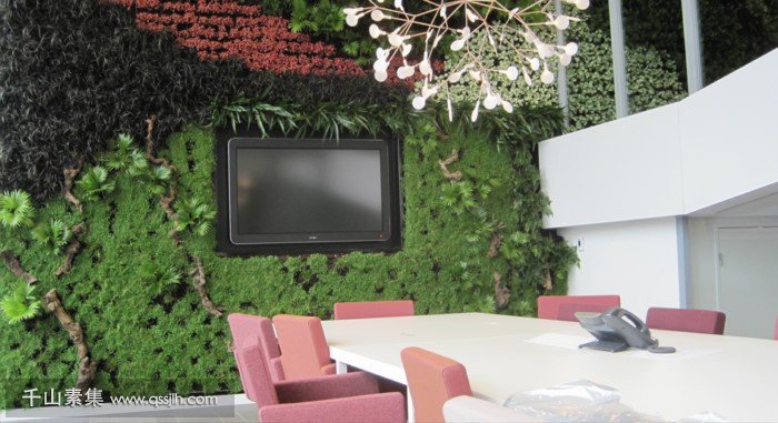 【大厦植物墙】朗盛总部65平的室内绿色植物墙