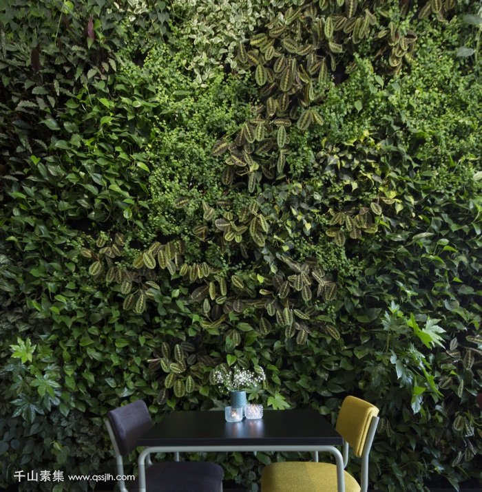 GOOILAND酒店植物墙 室内的垂直花园