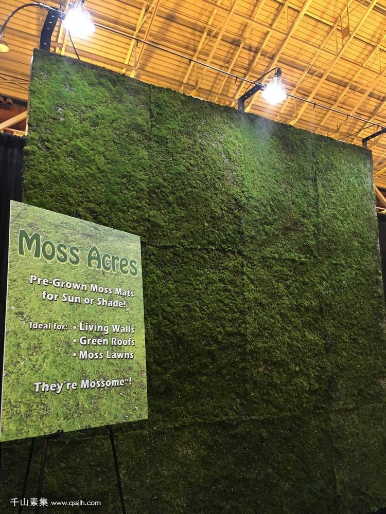 Moss Wall ASLA.jpg