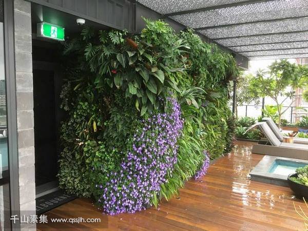 【漳州植物墙】墨尔本住宅垂直绿化 令人惊叹的公寓大楼