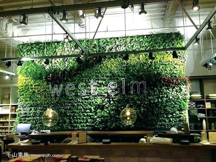 【漳州植物墙】植物墙为什么会让你的房子增值