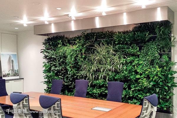 定制植物墙条件有哪些 绿植墙的好处介绍