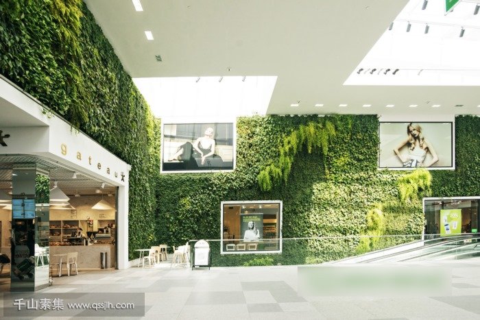 CAROLI购物中心植物墙 室内空间成为户外原始森林