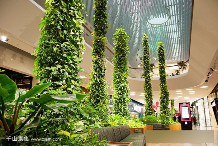 【晋江植物墙】购物中心垂直绿化 壮观的植物柱