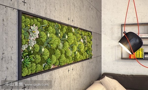 室内植物墙如何搭配软装