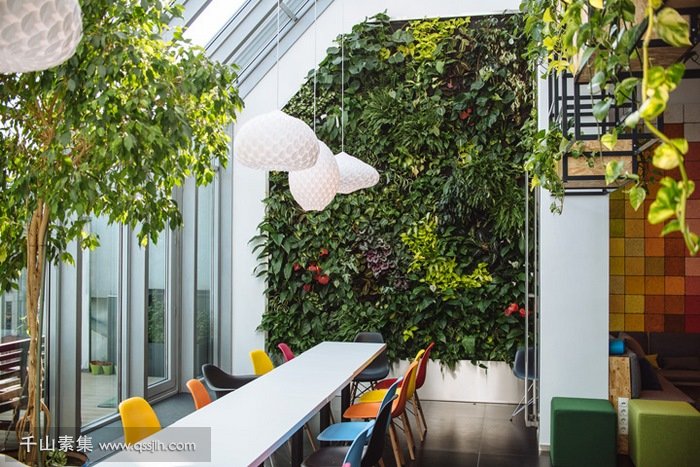 【湛江植物墙】匈牙利设计公司植物墙 创意的源泉