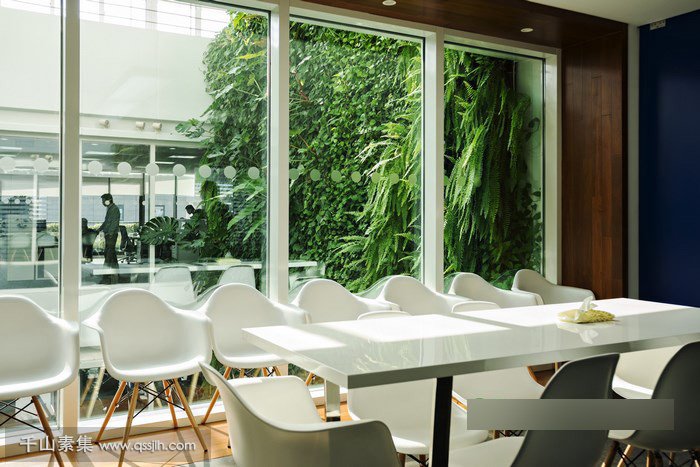 Clariant酒店中庭植物墙 小型热带雨林