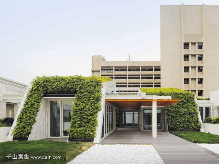 健康生活中心植物墙 重塑绿化疗愈空间