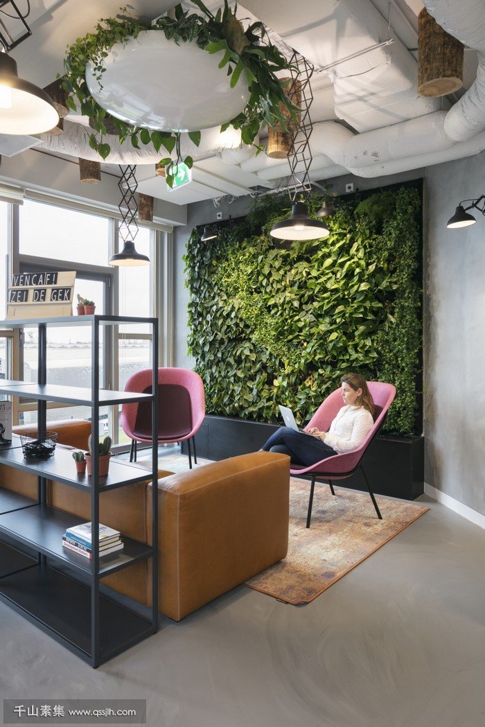 CIC鹿特丹办公室植物墙 自建绿植生态系统