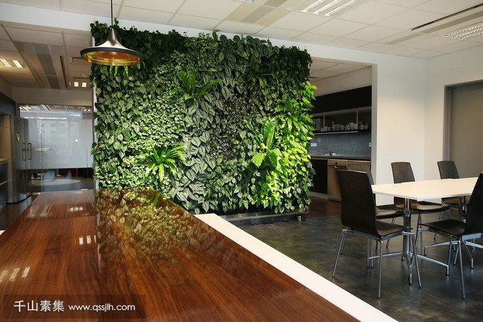 AVIS办公室餐厅区植物墙 绿色静谧办公环境
