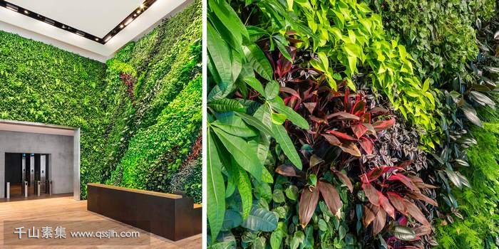 铸造广场室内立体绿化 植物墙和艺术的融合