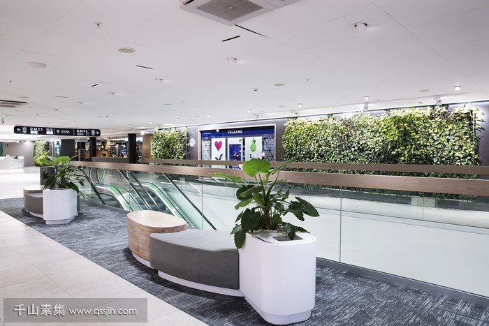 AINOA购物中心植物墙 充满生机的绿色走廊