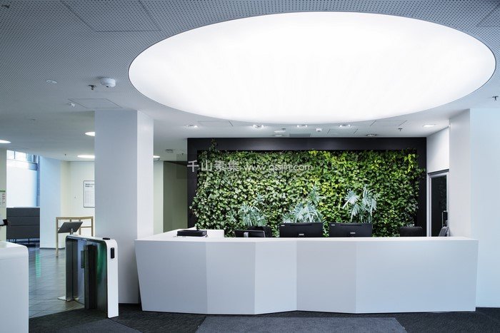 OP-BANK前台植物墙 品牌理念展示