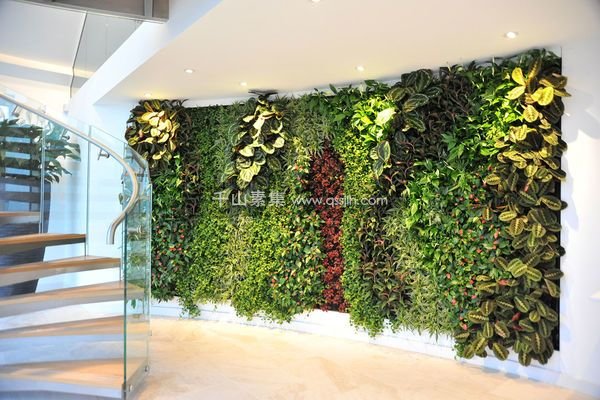 公装植物墙