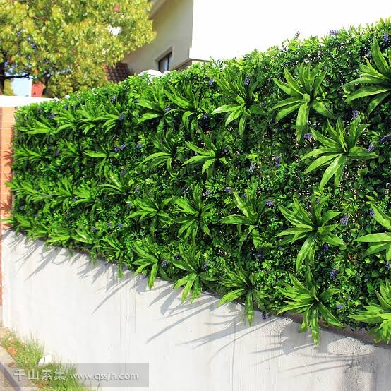 植物墙的安全问题
