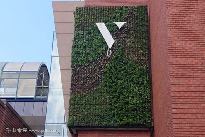 The Victoria Building植物墙，等待着植物的成长