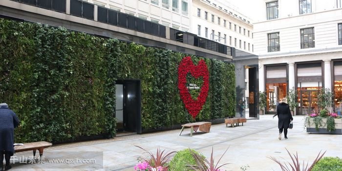 St James's Market的植物墙，将爱心融入植物墙