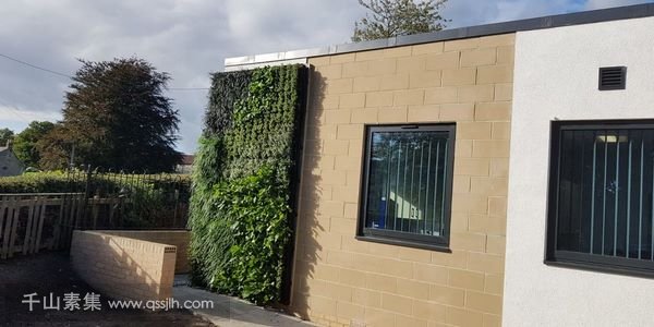 斯坦福小学外墙植物墙，改善小朋友的学习环境