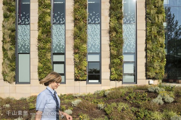 爱丁堡大学植物墙