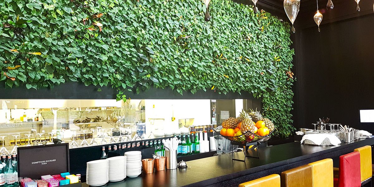 Harrods餐厅植物墙，美酒与美食同享