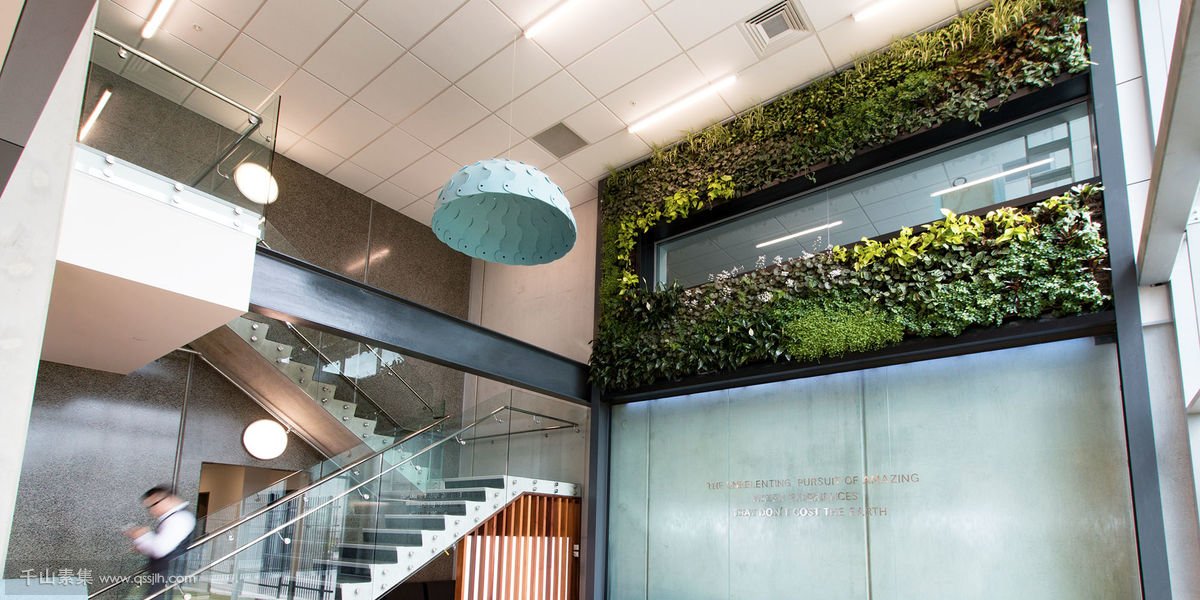 Methven公司大厅植物墙，基于瀑布系统的垂直绿化
