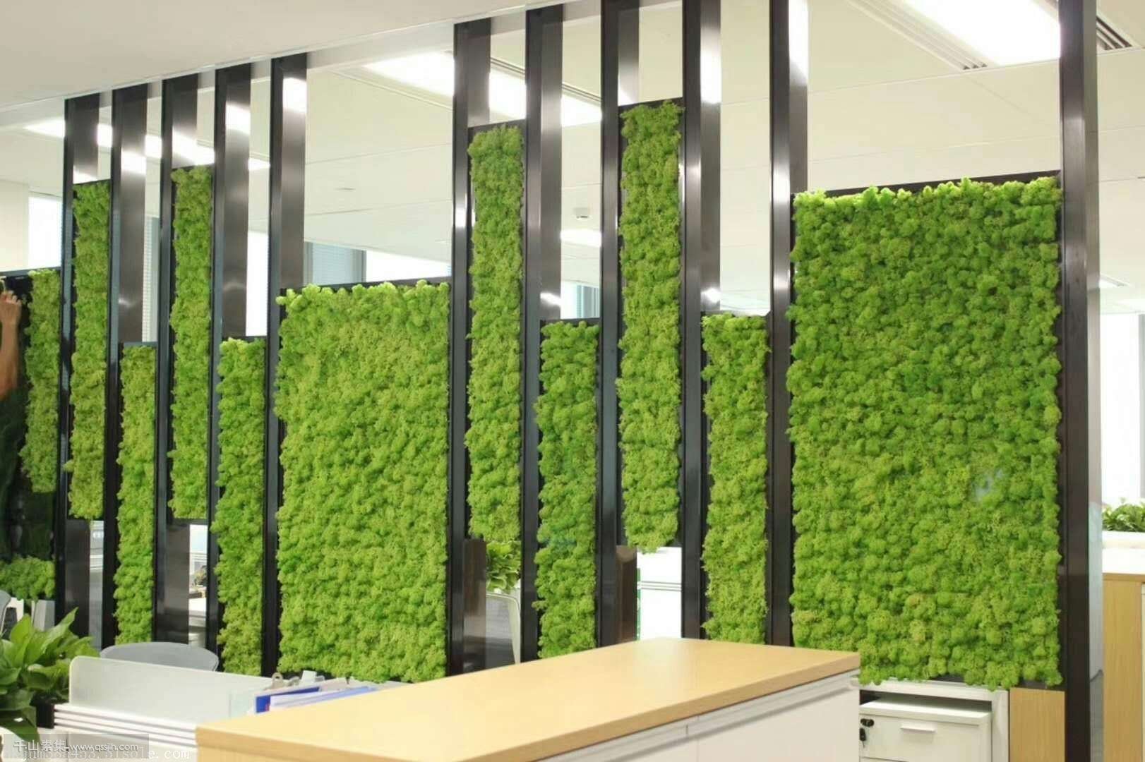 植物墙在城市绿化中的价值和作用