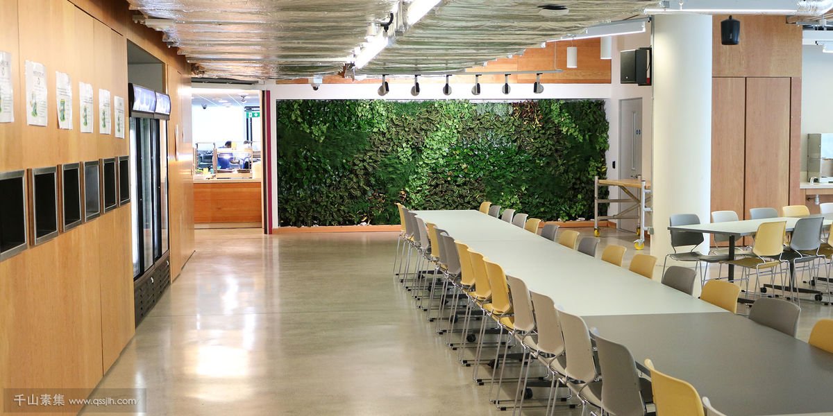 Facebook办公室植物墙，豪华的工作环境
