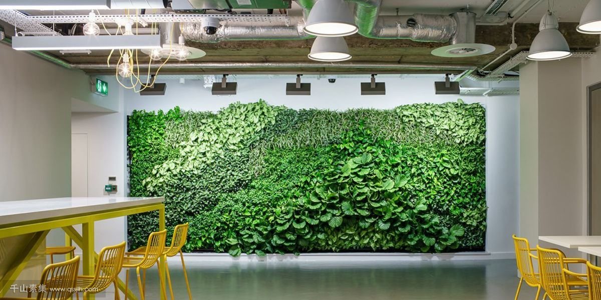 Fitbit办公室植物背景墙，安静自然的工作环境