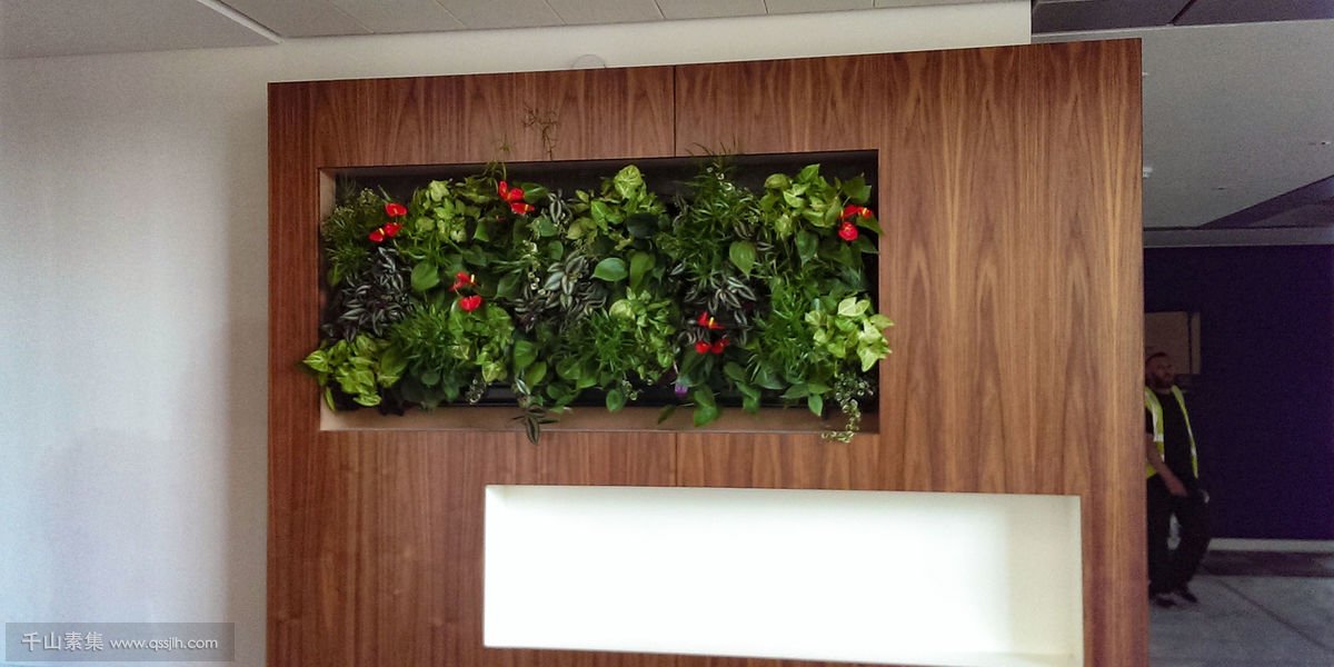 艾伯维办公室植物墙，实木嵌入式设计