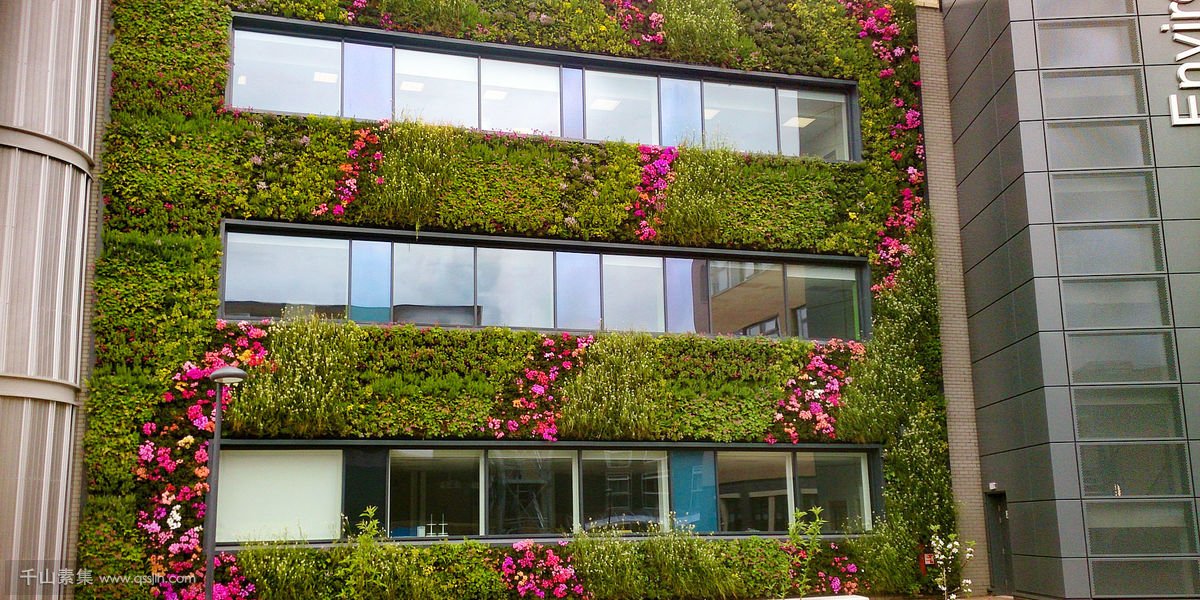 约克大学教学楼外墙植物墙，增强活力和体验感