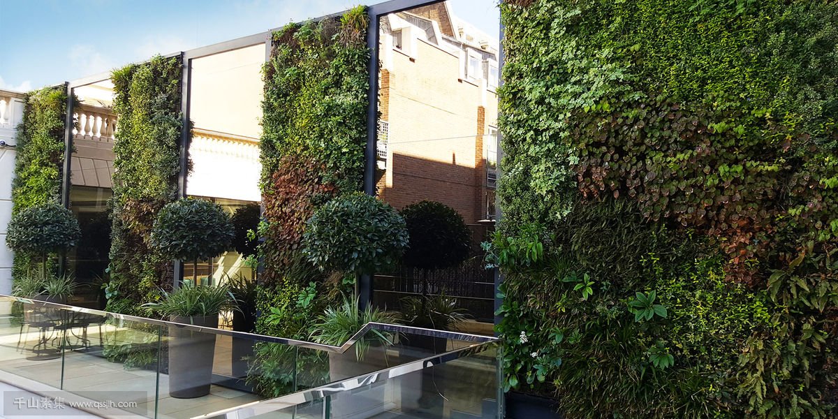 住宅物业植物墙，合理增加小区绿化