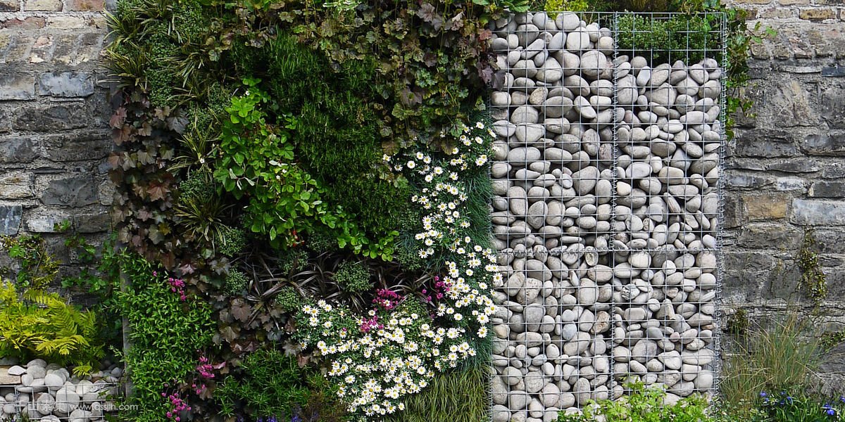 公园展览植物墙，促进园艺和垂直花园设计