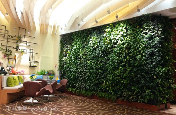 室内植物墙灯光如何设计？