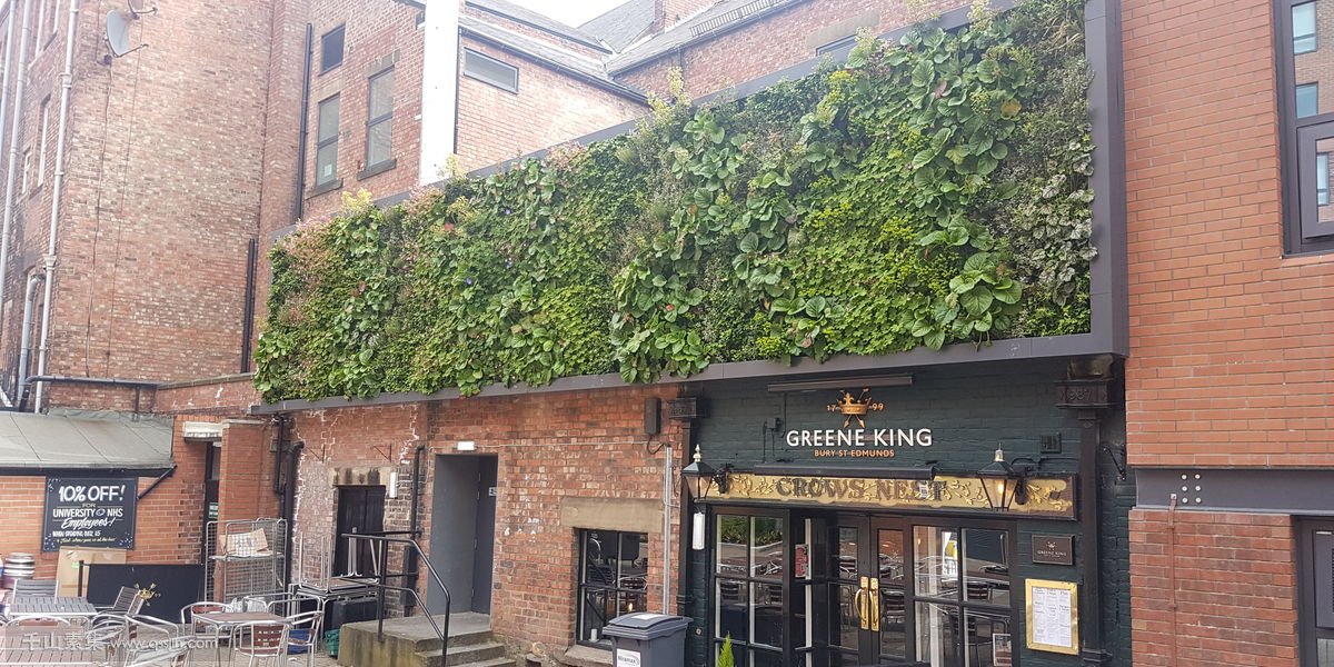 啤酒屋门头植物墙，矩形的外墙垂直花园